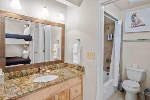 a bathroom with a sink and a toilet and a mirror at River Location 2 blocks to lift 7 &to the Gondola in Telluride