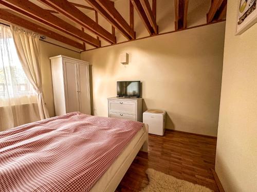 ein Schlafzimmer mit einem Bett und einem TV. in der Unterkunft Casa Miu in Sinaia
