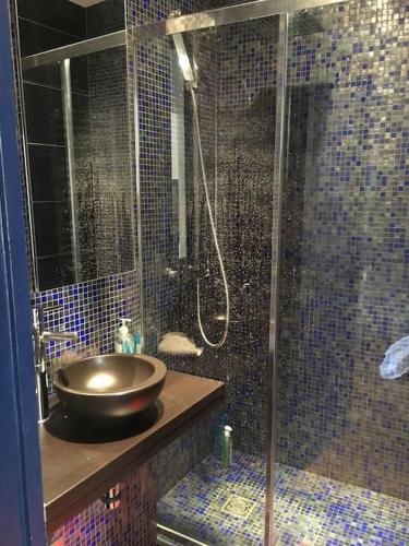 une salle de bain avec un lavabo et une douche en verre dans l'établissement Roland Garros /Boulogne Billancourt, à Boulogne-Billancourt