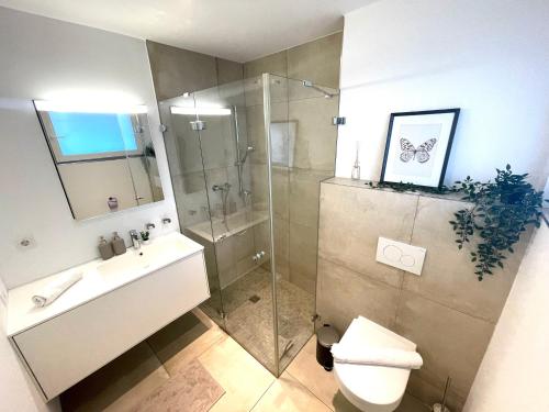 a bathroom with a shower and a toilet and a sink at homy City Lodge in Feldkirch, Grenznähe und doch Zentral in Feldkirch