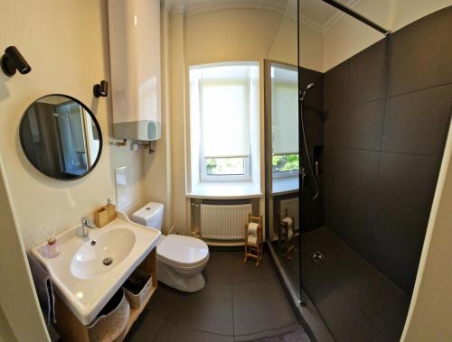 ein Bad mit einem Waschbecken, einem WC und einer Dusche in der Unterkunft Cēsu apartamenti in Cēsis