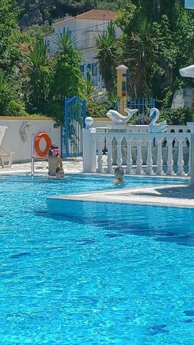 a pool with two dogs playing in the water at Apartments Zafiria in Ágios Konstantínos