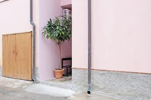 a plant in a pot next to a wall with a door at Casa Caleido in Verona
