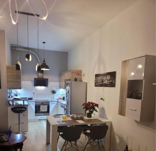 Luxury apartment Brno