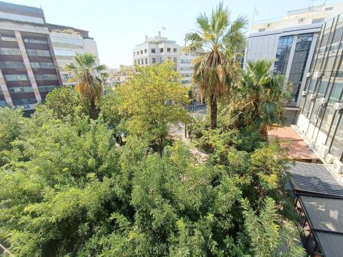 Homely Stay @Acropolis Museum