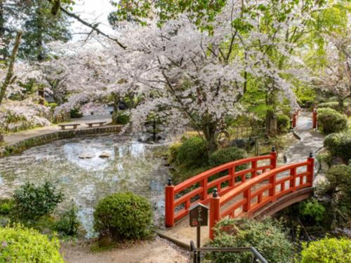 a red bridge over a pond in a garden at 三朝温泉　桃園館 in Misasa