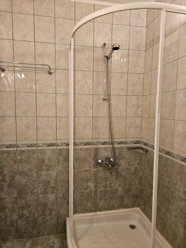 y baño con ducha y puerta de cristal. en Къща за гости Виктория en Dobrinishte