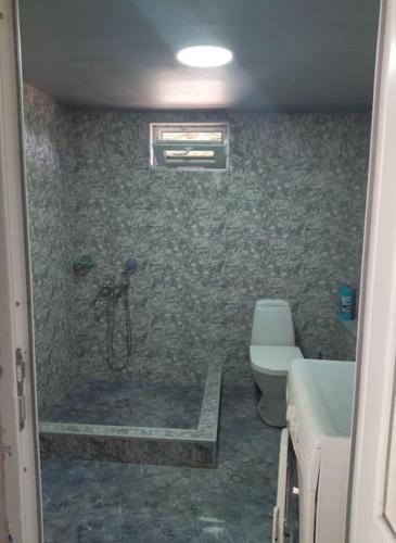 a bathroom with a shower and a toilet at LeoSani in Lagodekhi