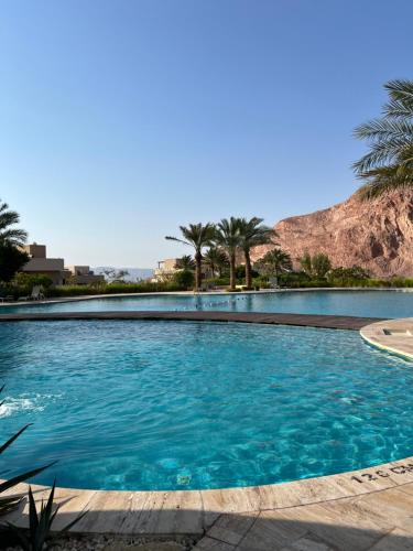 a swimming pool with blue water and palm trees at Al Raha chalet -al raha village -marsa zayed - قرية الراحة العقبة -مرسى زايد in Aqaba