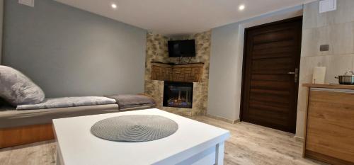 a living room with a couch and a fireplace at Apartament Leśny in Nowy Targ