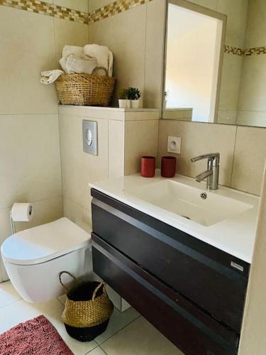 une salle de bain avec un lavabo, des toilettes et un miroir dans l'établissement La terrasse des Papes, à Avignon