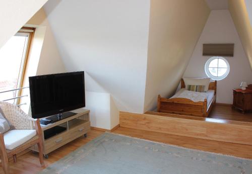 a living room with a flat screen tv in a attic at Teichhaus in Grömitz