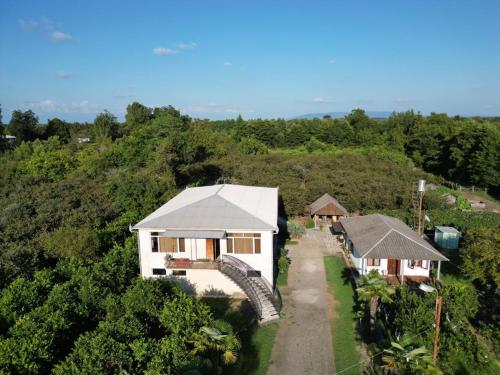 an aerial view of a house in a forest at Ani's Green House in Anaklia