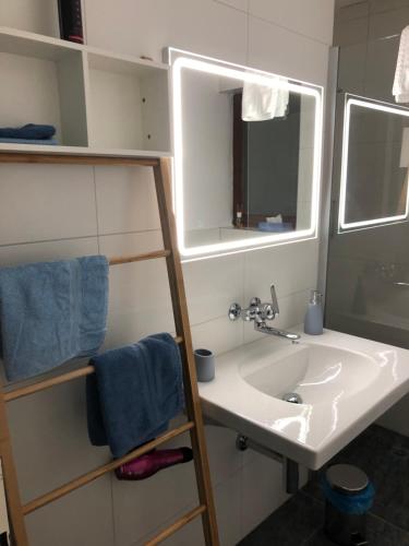 La salle de bains est pourvue d'un lavabo et d'un miroir. dans l'établissement Gästezimmer Erlinsbach bei Aarau, zwischen Aare und Jura, à Niedererlinsbach