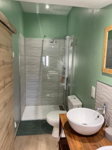 a bathroom with a shower and a toilet and a sink at Chez Berthe in Arles