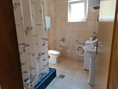 プルジネにあるApartment Pantovicのバスルーム(トイレ、シャワーカーテン付)