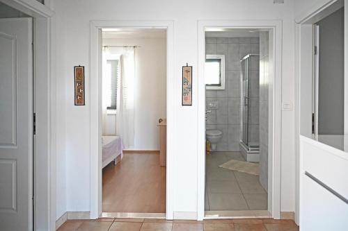 a bathroom with a walk in shower and a toilet at Apartments Antica in Vrboska