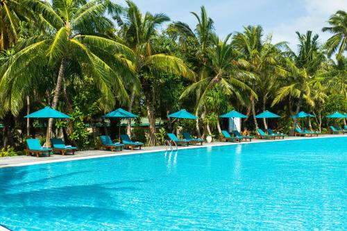 Bazén v ubytování Canareef Resort Maldives nebo v jeho okolí