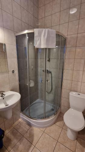 La salle de bains est pourvue d'une douche, de toilettes et d'un lavabo. dans l'établissement Zajazd Stradomia, à Stradomia Wierzchnia