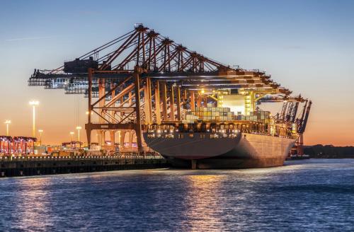 a large container ship is docked in the water at Landhaus Jenischpark in Hamburg