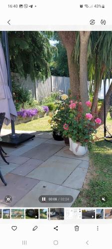 a picture of a patio with two pots of flowers at Knockrobin Cottage in Wicklow