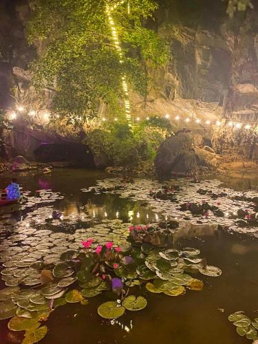 a pond with lily pads and lights in a cave at Tam Coc Rocky Bungalow in Ninh Binh