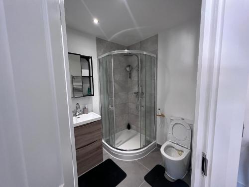 a bathroom with a shower and a toilet and a sink at Luxury Birmingham 2 Bedroom Town House in Birmingham