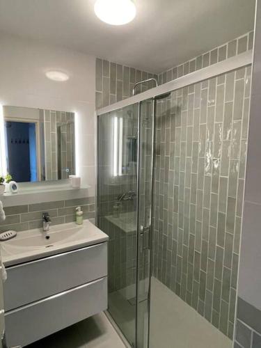 une salle de bain avec une douche en verre et un lavabo dans l'établissement Bel appartement Meyzieu centre proche Tramway, à Meyzieu