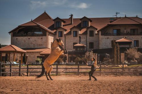 a woman standing next to a horse in front of a fence at Domaine de la Klauss & Spa, Restaurant Gastronomique Le K in Montenach