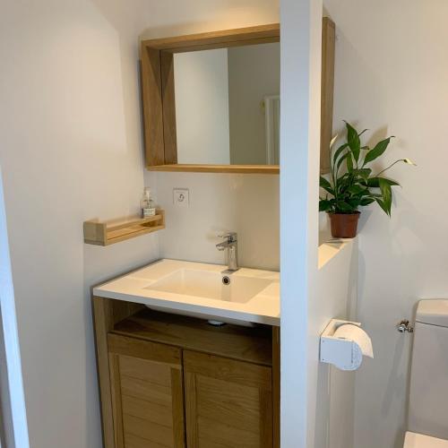 La salle de bains est pourvue d'un lavabo, d'un miroir et d'une plante en pot. dans l'établissement Superbe studio tendance et zen proche de Lyon, à Couzon-au-Mont-dʼOr