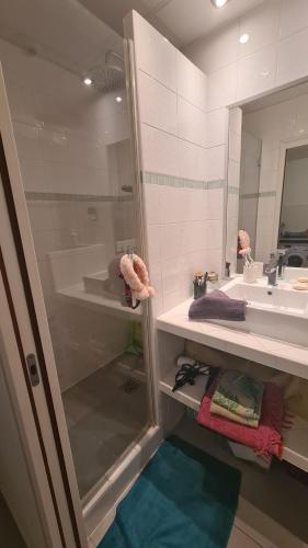 bagno con doccia e lavandino di T2 COCOONING BEACH a La Ciotat