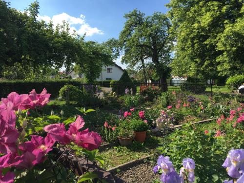 a garden of flowers with a house in the background at Lieblingsnest in Lindau