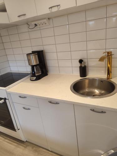 a kitchen counter with a sink and a mixer at Göteborgs Pärla in Gothenburg
