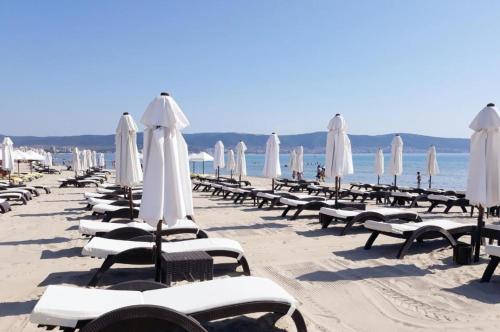 eine Reihe von Stühlen und Sonnenschirmen am Strand in der Unterkunft Апартаменти Оазис Вип клуб in Sonnenstrand