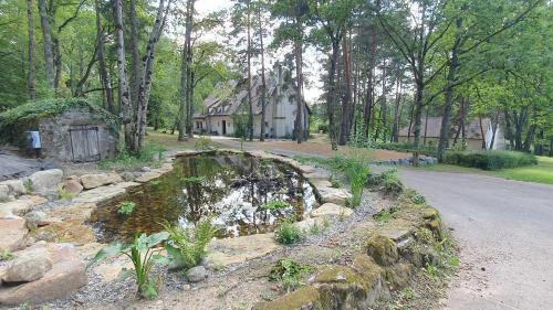 a garden with a pond in front of a house at les bois de ravel chambres d'hôtes in Ravel