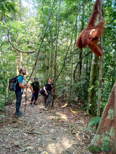 Jungle treking & Jungle Tour if you want to stay here,you must book treking only with usの宿泊客