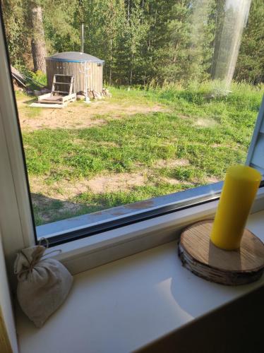 a window with a view of a yard at Bluci seksti in Seksti
