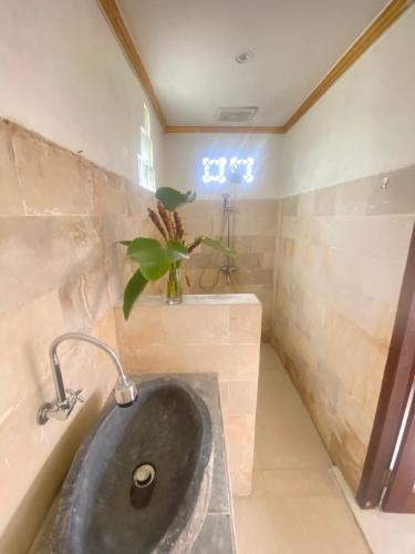 baño con lavabo y maceta en Twin Inn 2, en Ubud