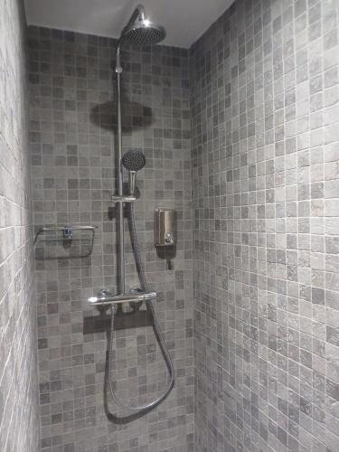 une douche avec pommeau de douche dans une salle de bain dans l'établissement Au Quai Des Pecheurs, à Strasbourg