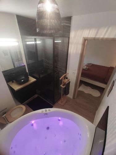 uma casa de banho com banheira e um quarto com em T2 balnéothérapie, jardin, parking, tram, boulodrome em Blagnac
