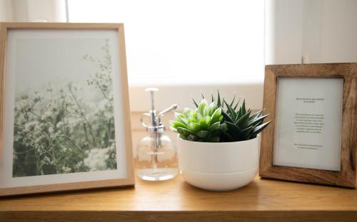 a plant in a white vase on a table with two pictures at Superbe appartement - L'escapade in Onzain