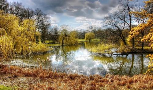 Ein Teich in einem Park mit Bäumen und Wolken am Himmel in der Unterkunft Casa Caso - Apartment 3 in Achim