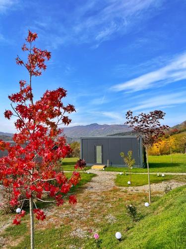 Giardino di FLANDRA Glamping