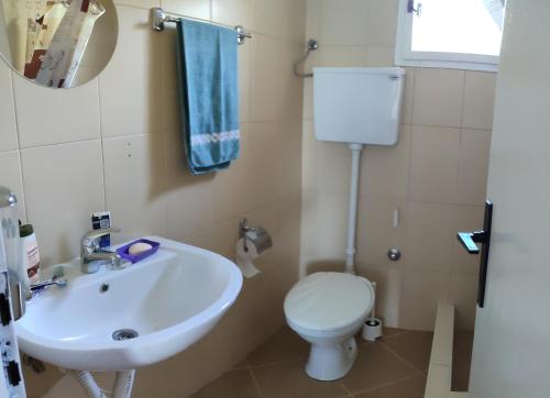 ein Badezimmer mit einem Waschbecken, einem WC und einem Spiegel in der Unterkunft Kuca Vujovic in Belgrad