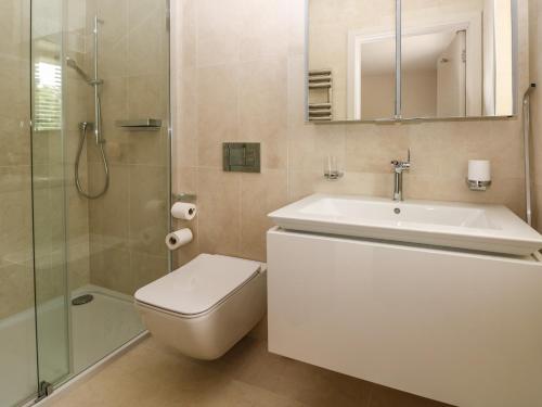a bathroom with a toilet and a sink and a shower at Llety'r Bugail in Aberdare