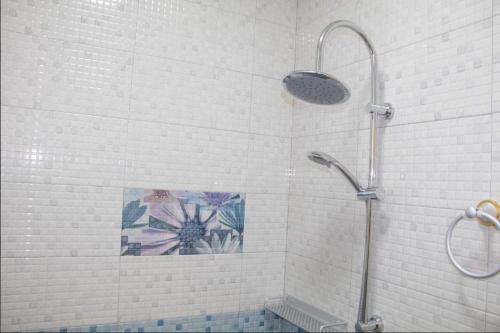 baño con ducha con mosaico en la pared en R&R Apartments en Paramaribo