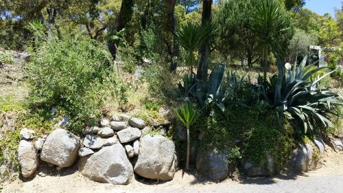 a garden with some plants and rocks and trees at My House - Casa Charme in Monchique