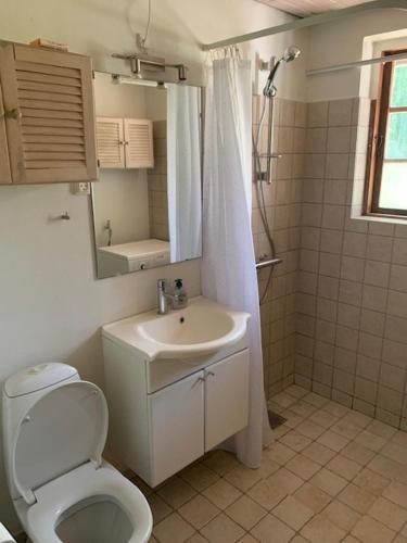 een badkamer met een toilet, een wastafel en een douche bij Dyrlundgård in Helsinge