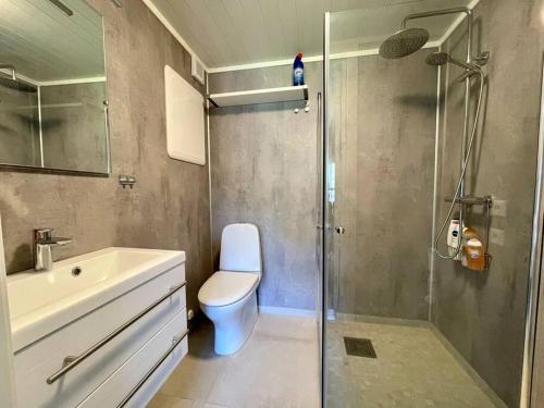 a bathroom with a shower and a toilet and a sink at Bosvik Gård, nyrenovert leilighet i hovedhus fra 1756 in Risør