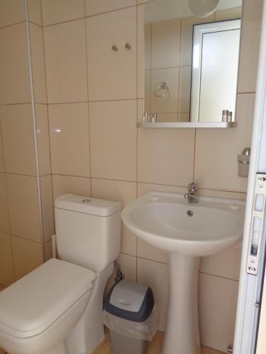 a small bathroom with a toilet and a sink at Vergina Pension in Sarti